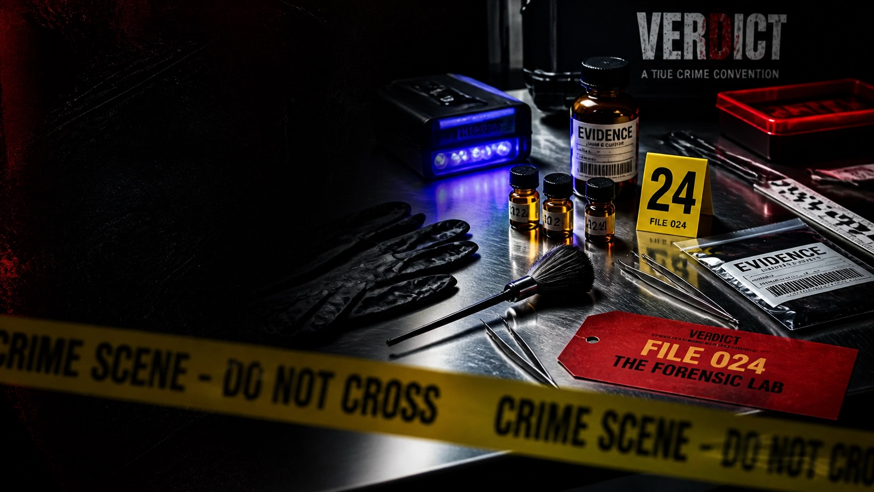 FILE 024 — The Forensic Lab